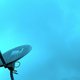 Image for article titled Proof Satellite Sucks: Dish and DirecTV Get FCC Approval to Downgrade HD Channels Until 2013